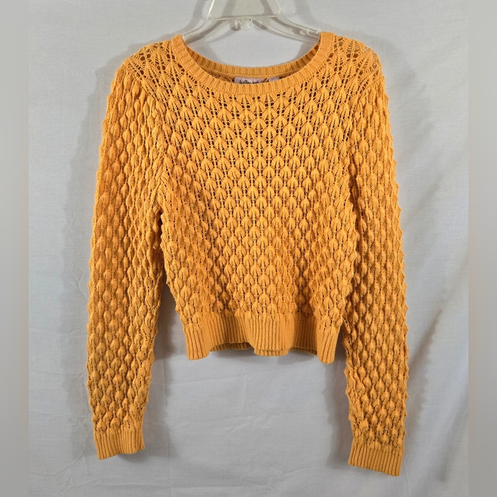 Buckle Willow & Root Cropped Pointelle Knit Sweater Size Large